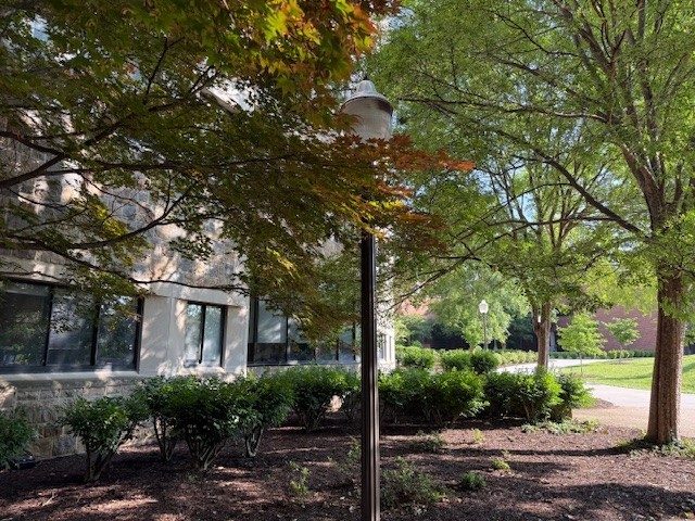 Newman Library 