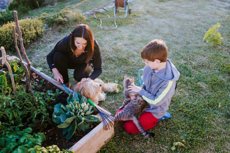 A woman and her child with their dog and cat working in their vegetable garden